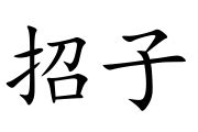 招子|招子 (zhāo zi) Definition & Meaning